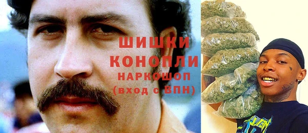 стаф Протвино