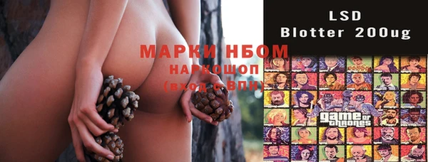 стаф Протвино