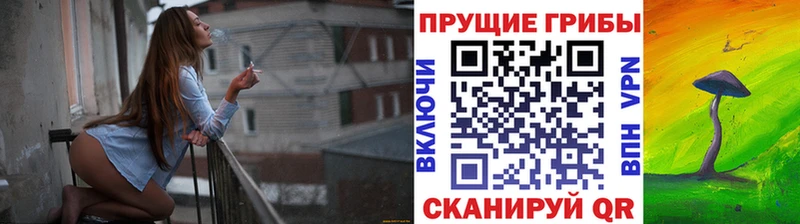 мориарти телеграм  даркнет сайт  ссылка на мегу зеркало  Удачный  Псилоцибиновые грибы Magic Shrooms 